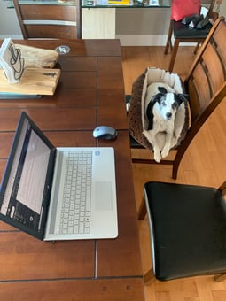Work From Home Strategy 1