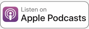 Stanleyy Bergman, Strategy and Leadership Podcast 