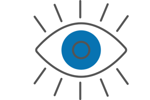 vision(3)