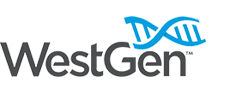 Strategic planning consultant for westgen strategic planning